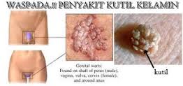 Mengapa muncul bintik-bintik daging kecil di penis
